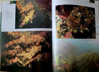 Libro Asturias bajo el mar