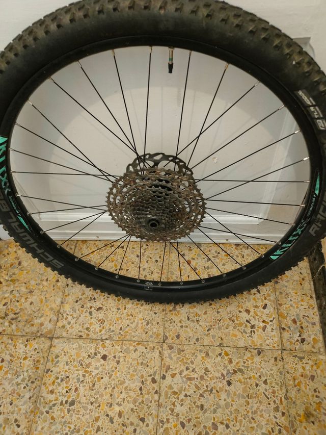 Rueda trasera 29 pulgadas