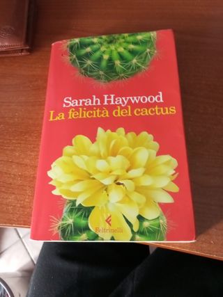 SARAH HAYWOOD, LA FELICITA DE