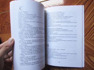 LIBRO.LENGUAJES MARGINALES. ANALISIS Y VOCABULARIO