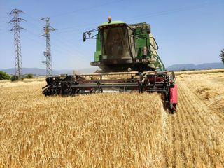 Cosechadora de cereal