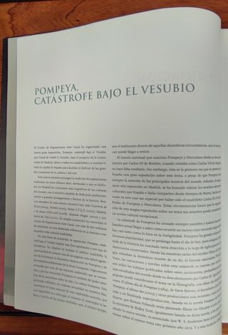 Libro Pompeya, Catástrofe bajo el Vesubio