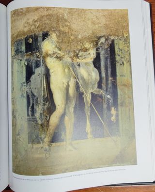 Libro Pompeya, Catástrofe bajo el Vesubio