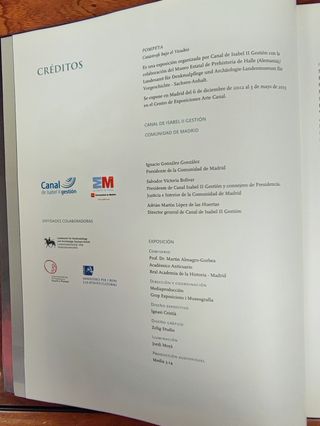 Libro Pompeya, Catástrofe bajo el Vesubio