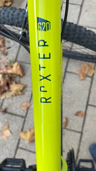 Bicicleta