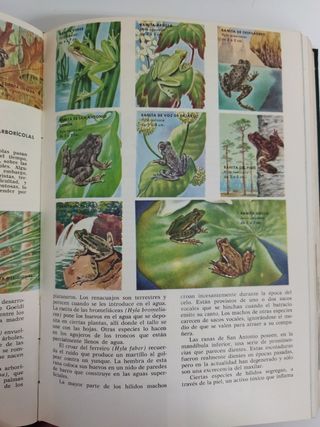 Enciclopedia Ciencias Naturales