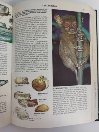 Enciclopedia Ciencias Naturales