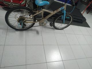 Bicicleta 