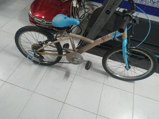 Bicicleta 