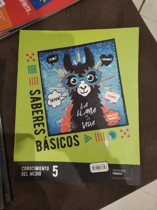 Proyecto: FanFest. Conocimiento del medio 5.