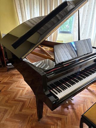 Oferta!!! Piano de cola Petrof, poco uso.