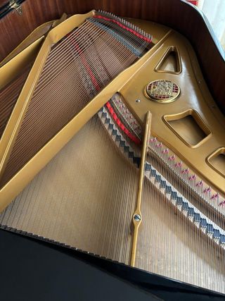 Oferta!!! Piano de cola Petrof, poco uso.