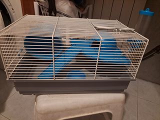 Jaula hamster y accesorios