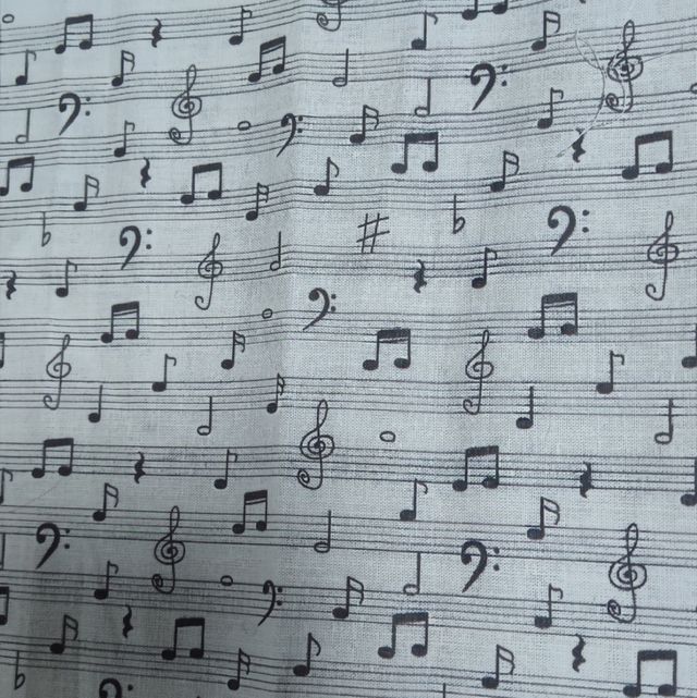 Sacos de semillas de trigo para bebes 2