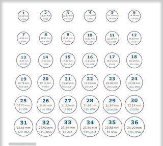 Sortija Skull Royale – Talla 10 USA