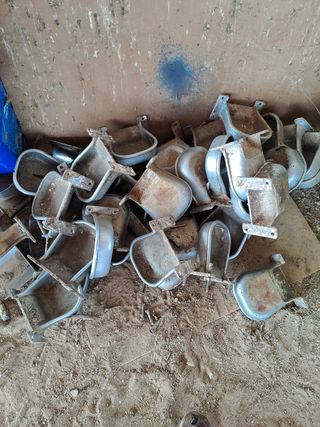 Cazueletas para cerdos de engorde