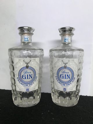Lotto 2 Bottiglie GIN PREMIUM DRY vuota
