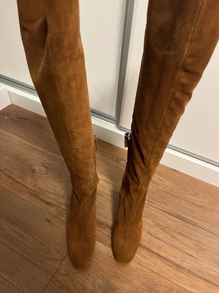Botas altas ante camel