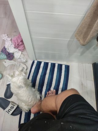 Patines en linea marca FILA