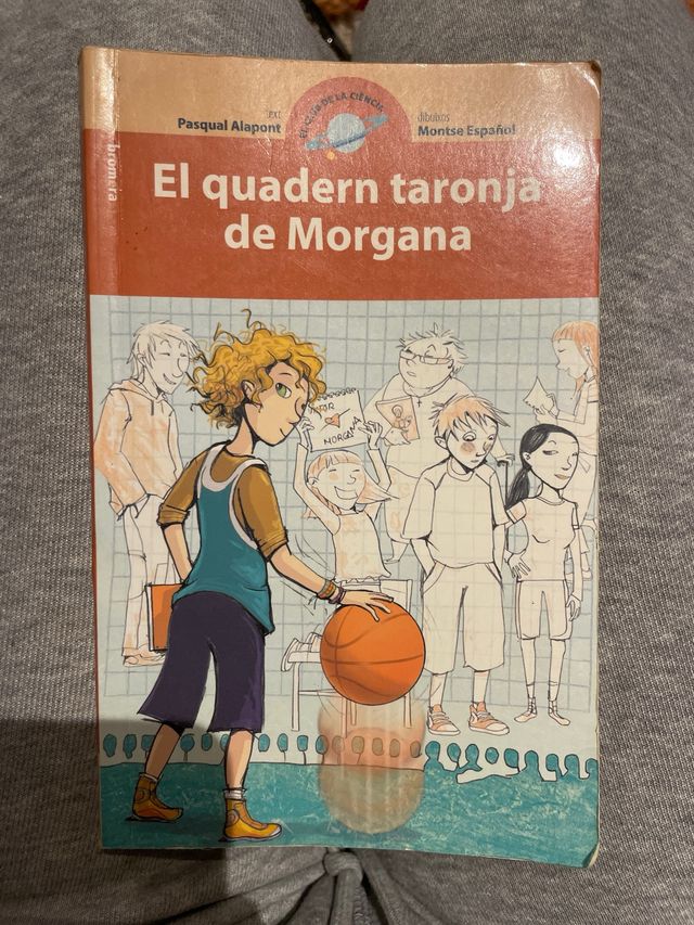 El quadern taronja de Morgana