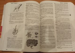 NUEVO DICCIONARIO ESCOLAR DE LA LENGUA ESPAÑOLA ( DE 3 A 6 Primaria) SANTILLANA (Spanish Edition)