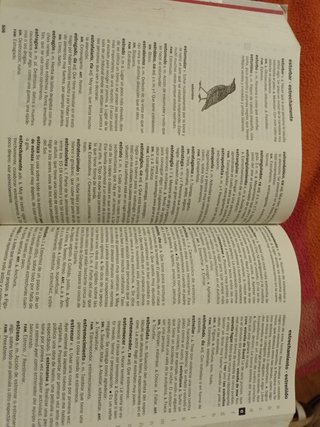 NUEVO DICCIONARIO ESCOLAR DE LA LENGUA ESPAÑOLA ( DE 3 A 6 Primaria) SANTILLANA (Spanish Edition)