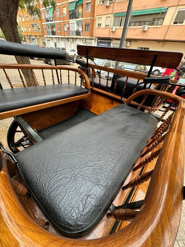 Carruaje de caballos