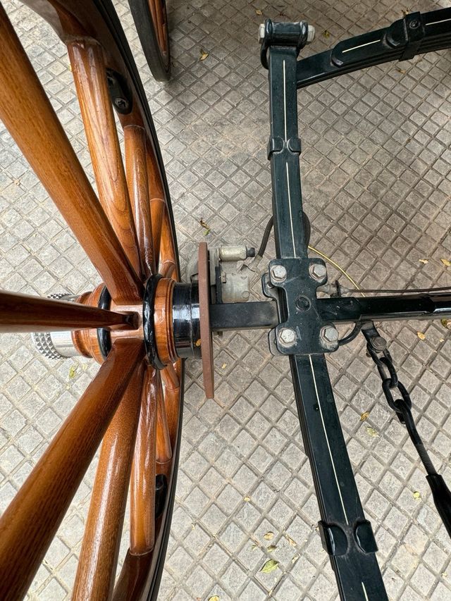 Carruaje de caballos