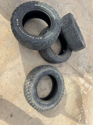 Ruedas todo terreno 