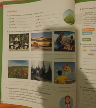 Libro zozo práctica 6