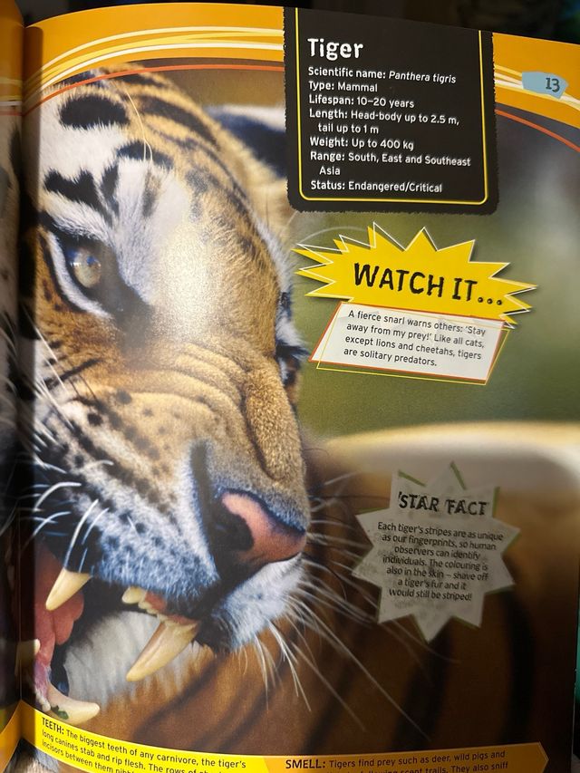 Wild Nature: Fierce Predators