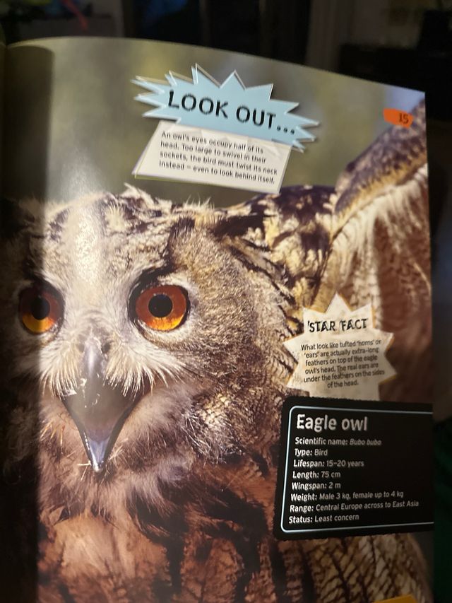 Wild Nature: Fierce Predators