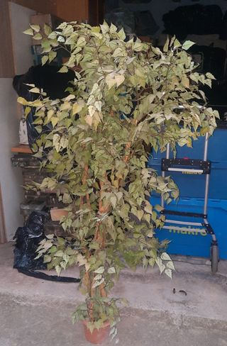 Planta artificial