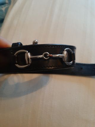 Cintura equitazione Umbria