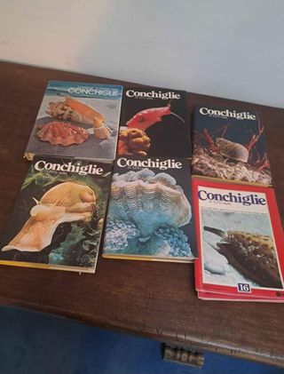 Set libri sulle conchiglie