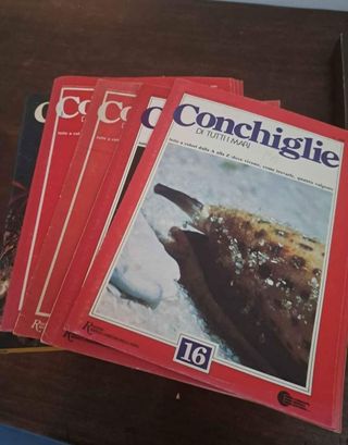 Set libri sulle conchiglie