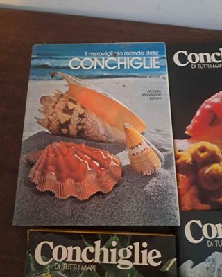 Set libri sulle conchiglie