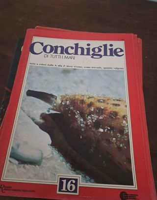 Set libri sulle conchiglie