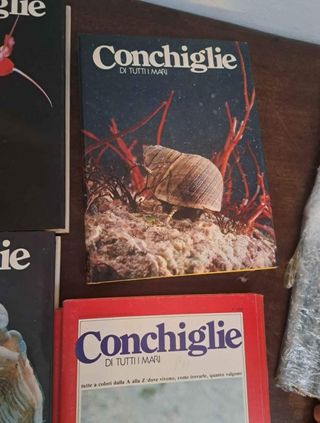 Set libri sulle conchiglie