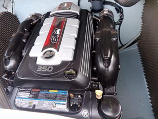 BARCO A MOTOR SEARAY