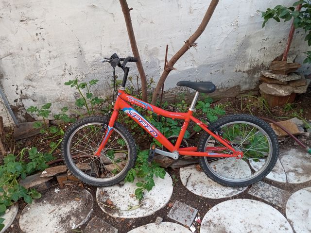Mountain bike 26" vari modelli