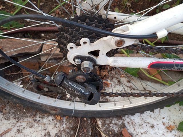 Mountain bike 26" vari modelli