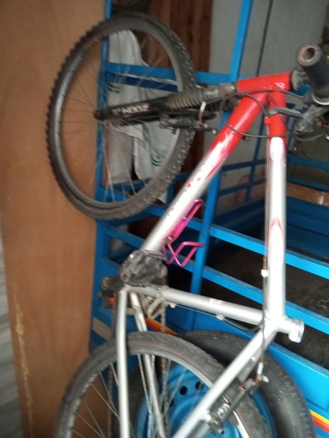 Mountain bike 26" vari modelli
