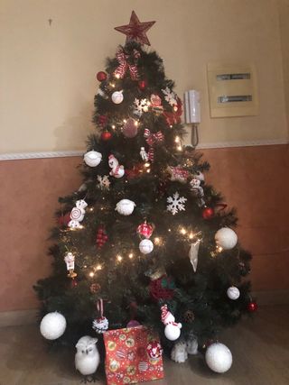 Albero di Natale
