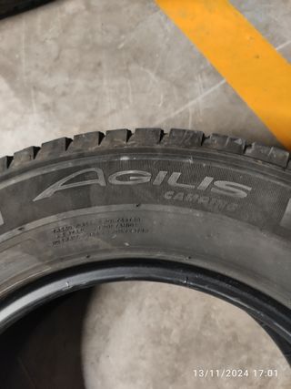 2 ruedas Michelin agilis camping R15
