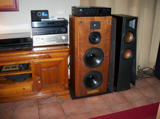 Altavoces Celestion Ditton 88 vintage