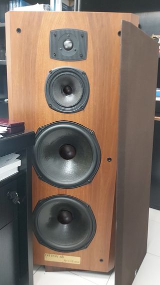Altavoces Celestion Ditton 88 vintage