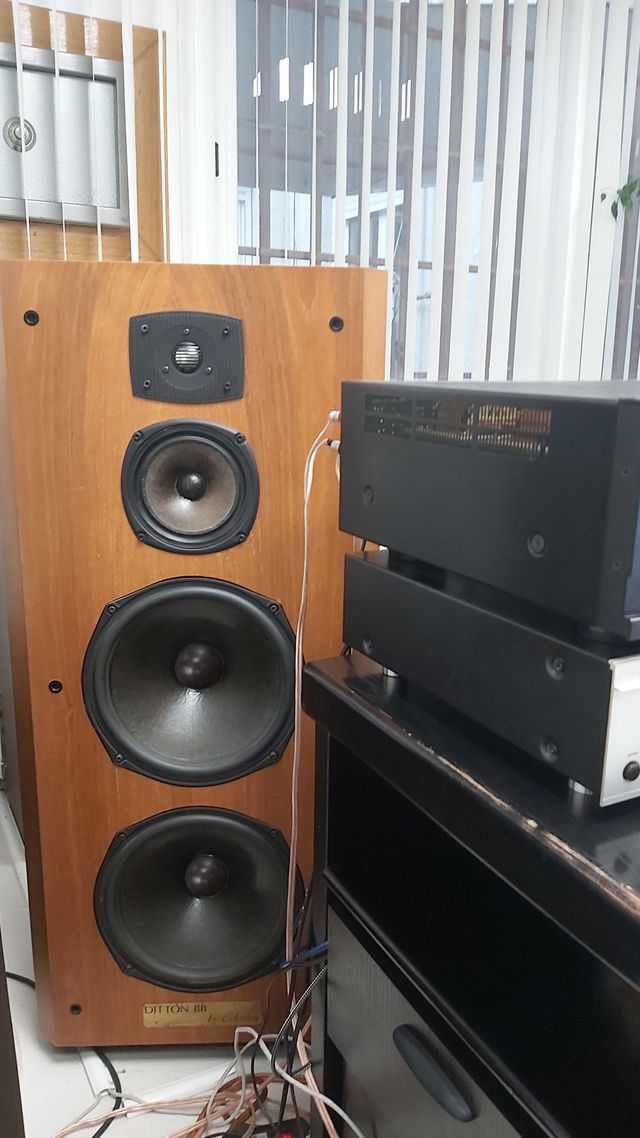 Altavoces Celestion Ditton 88 vintage