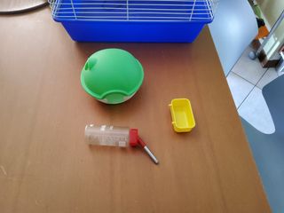 Gabbia criceto e accessori