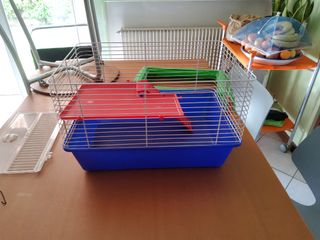 Gabbia criceto e accessori